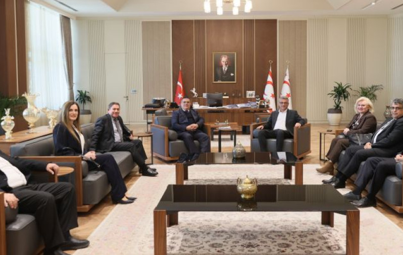 Cumhurbaşkanı Tufan Erh&uuml;rman, Y&Ouml;DAK heyetini kabul etti